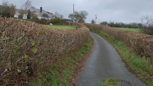 Lane and bridleway heading north east This is the main means of access to much of the square. Taken from the junction with the Pontrhydygroes to Abermagwr minor road.