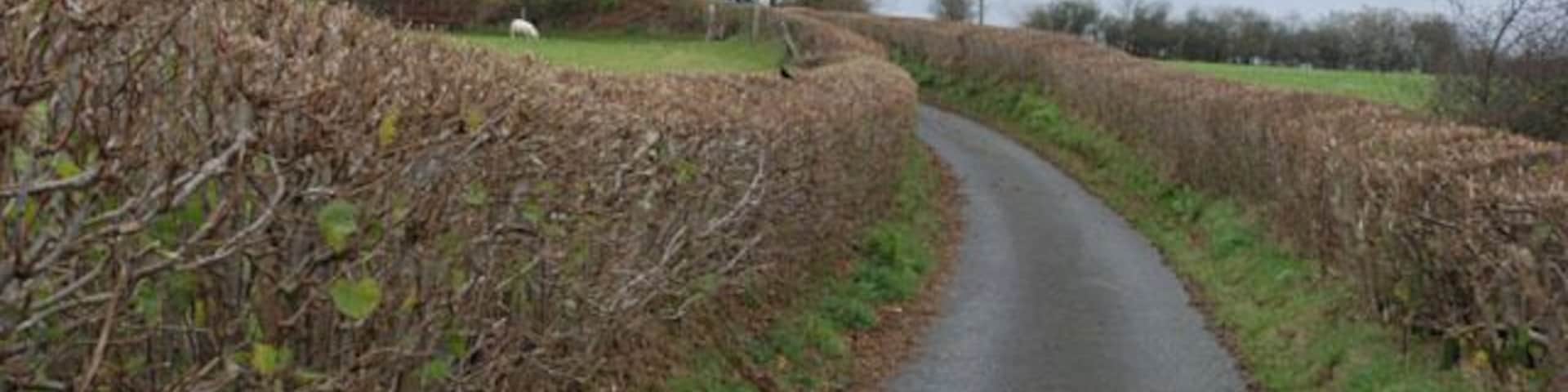 Lane and bridleway heading north east This is the main means of access to much of the square. Taken from the junction with the Pontrhydygroes to Abermagwr minor road.