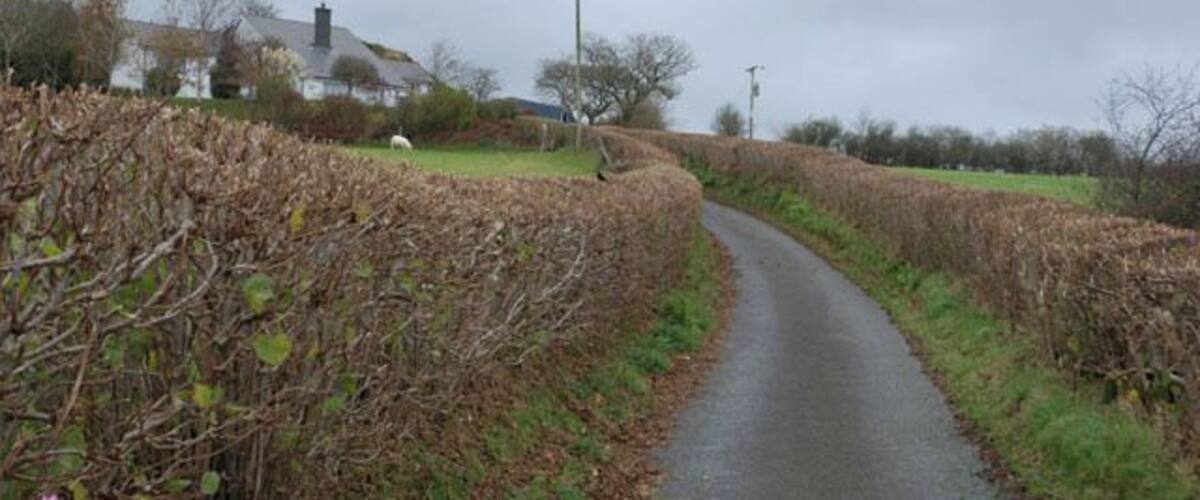 A narrow rural road flanked by hedgerows and fields, leading to a house in the distance.