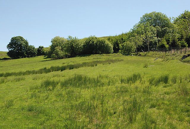 Field south of Hafodgau-isaf The bridleway is effectively a ditch just seen on the right hand side of the field; using the field itself is probably easier.