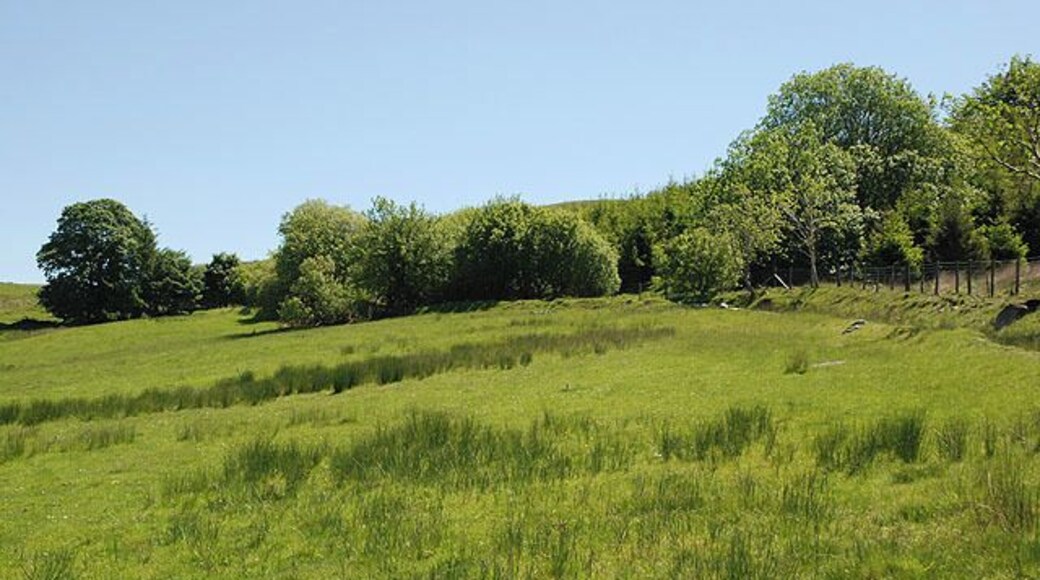 Field south of Hafodgau-isaf The bridleway is effectively a ditch just seen on the right hand side of the field; using the field itself is probably easier.