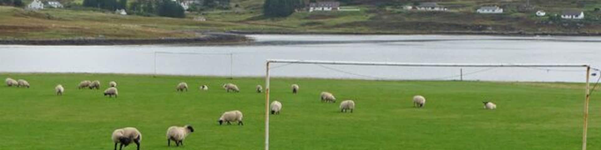 Football pitch at Feorlig Loch Caroy in the background. Sheepfield Wednesday v Man Ewenited?