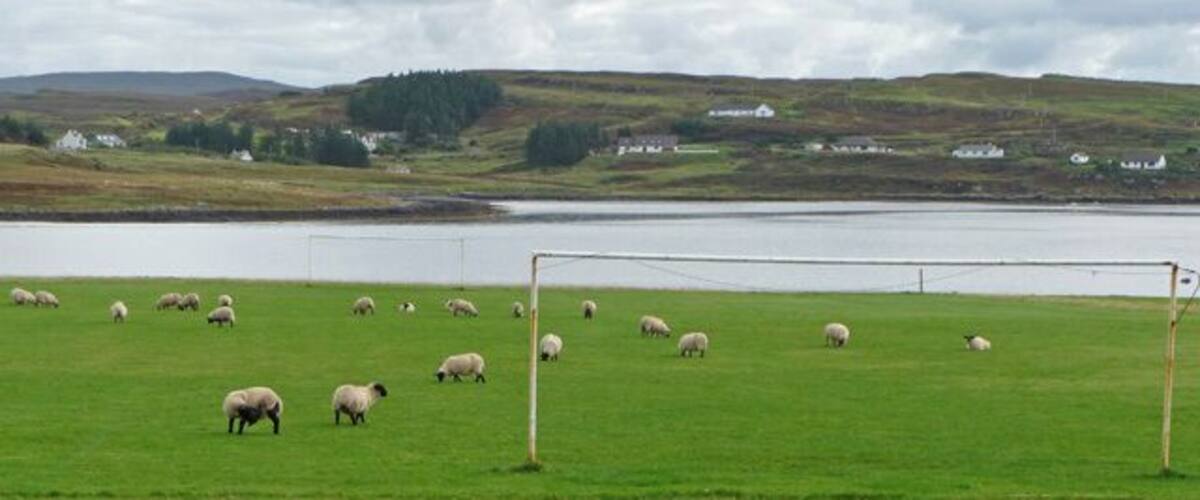A green field with a goalpost and sheep grazing near a body of water.