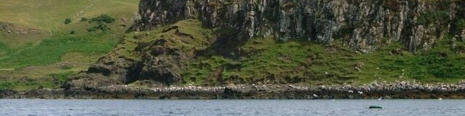 Biod na Fhithich Translates into the 'top of the ravens'.