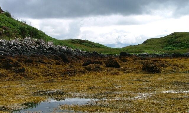 Small Bay in Loch Erghallan At half tide.