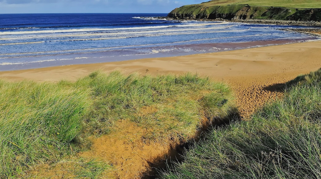 Strathy Beach