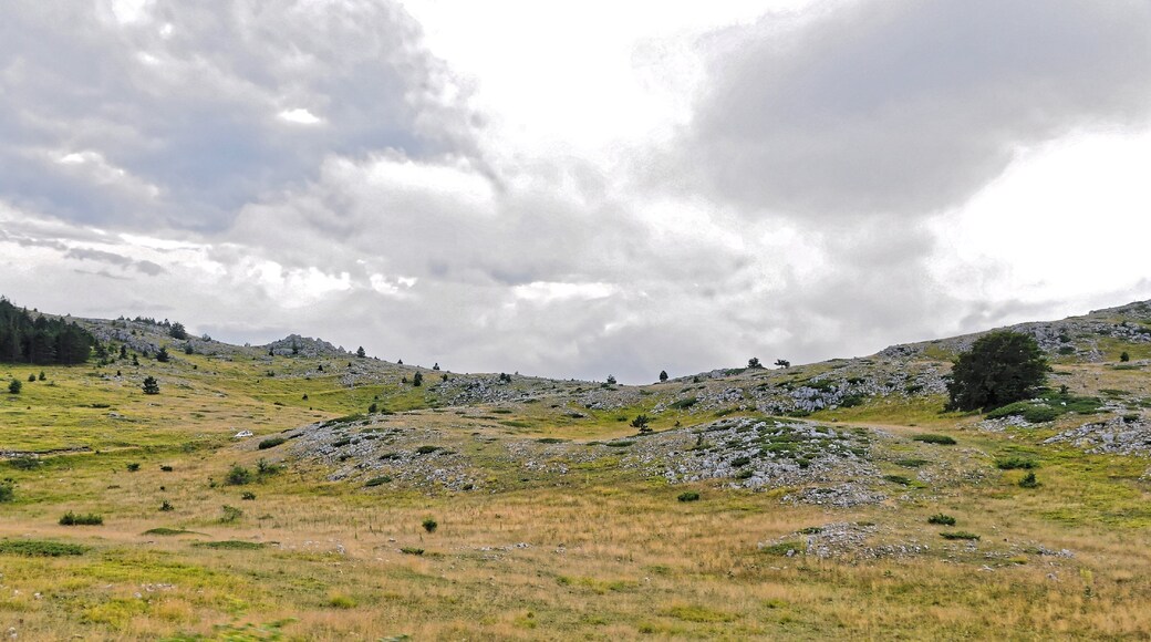 Campo Imperatore 2013 Dieses Foto entstand in Zusammenarbeit mit Stadtbesichtigungen.de Die Seiten Stadtbesichtigungen.de, der dazugehörige Reise Blog sowie die Facebookseite: Stadtbesichtigungen Rom dürfen dieses Bild für Ihre Veröffentlichungen ohne den Hinweis auf Wikipedia, Commons bzw der Lizenz verwenden. Die Verantwortlichen habe von mir (Ra Boe) die Originaldaten zur freien Verfügung übermittelt bekommen.