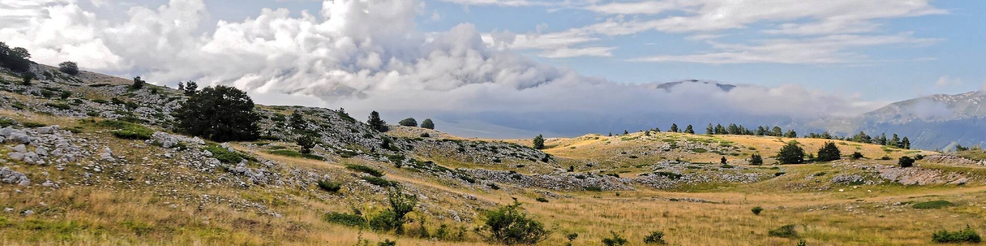 Campo Imperatore 2013 Dieses Foto entstand in Zusammenarbeit mit Stadtbesichtigungen.de Die Seiten Stadtbesichtigungen.de, der dazugehörige Reise Blog sowie die Facebookseite: Stadtbesichtigungen Rom dĂŒrfen dieses Bild fĂŒr Ihre Veröffentlichungen ohne den Hinweis auf Wikipedia, Commons bzw der Lizenz verwenden. Die Verantwortlichen habe von mir (Ra Boe) die Originaldaten zur freien VerfĂŒgung ĂŒbermittelt bekommen.