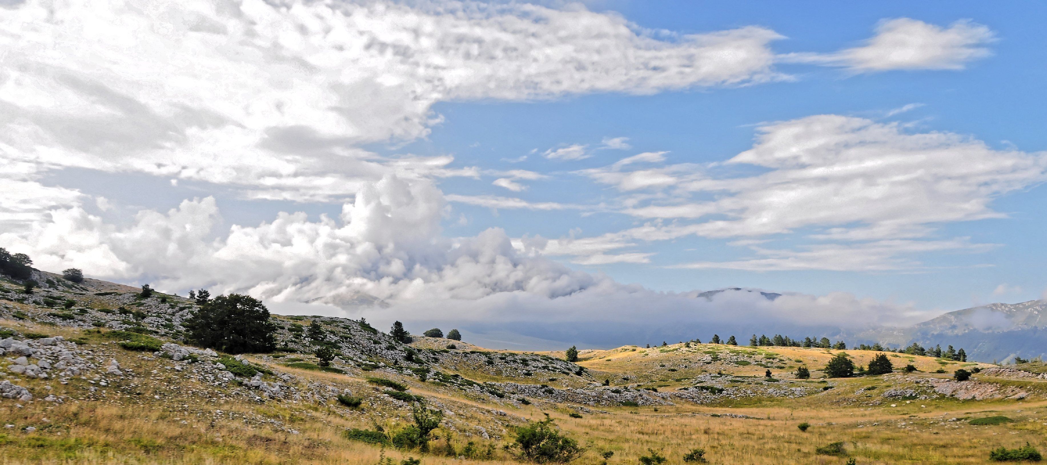 A mountainous landscape with rocky terrain, scattered trees, and a partly cloudy sky.