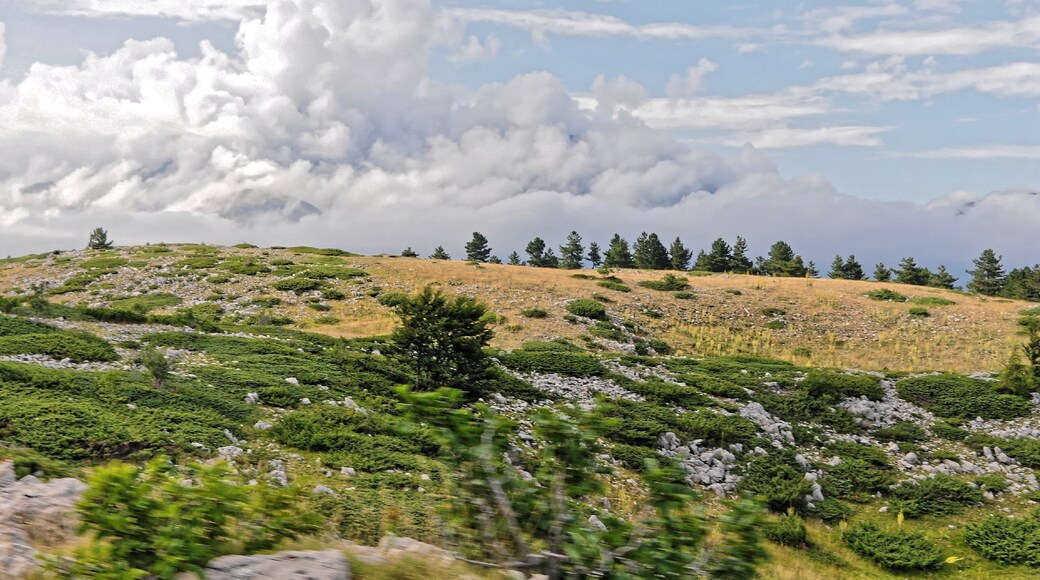 Campo Imperatore 2013 Dieses Foto entstand in Zusammenarbeit mit Stadtbesichtigungen.de Die Seiten Stadtbesichtigungen.de, der dazugehörige Reise Blog sowie die Facebookseite: Stadtbesichtigungen Rom dürfen dieses Bild für Ihre Veröffentlichungen ohne den Hinweis auf Wikipedia, Commons bzw der Lizenz verwenden. Die Verantwortlichen habe von mir (Ra Boe) die Originaldaten zur freien Verfügung übermittelt bekommen.