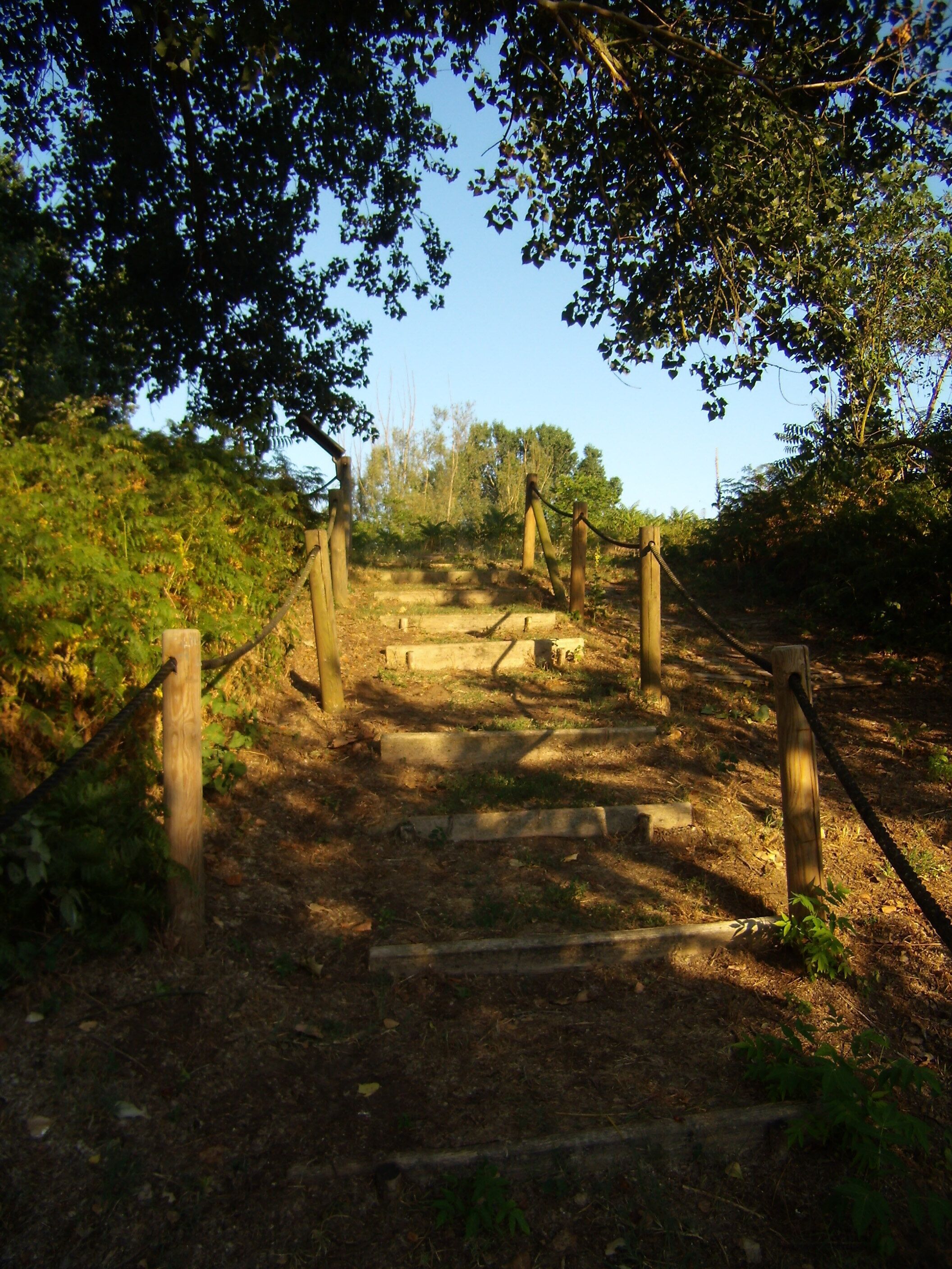 The authorisation for taking photos of this object was provided by the World Wide Fund for Nature Italy.