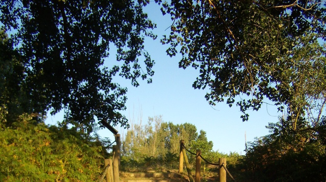 The authorisation for taking photos of this object was provided by the World Wide Fund for Nature Italy.