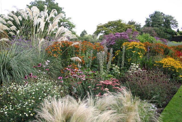 A garden with various flowering plants and grasses.