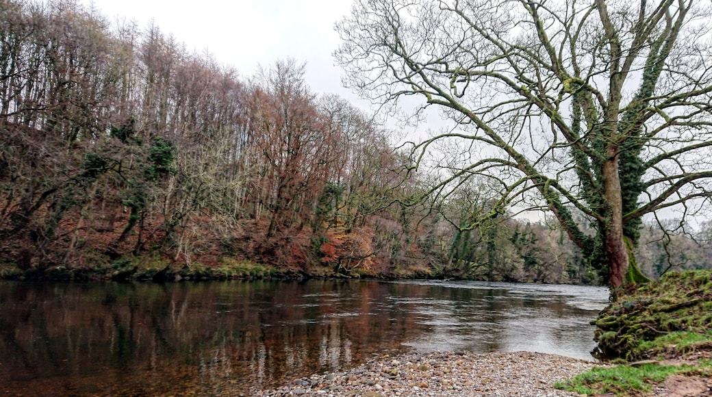 A nice riverside walk. #trovember