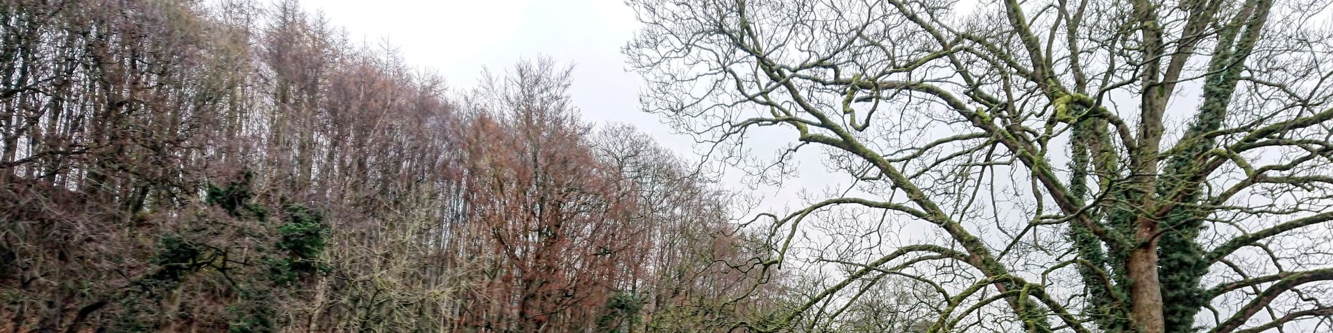 A nice riverside walk. #trovember