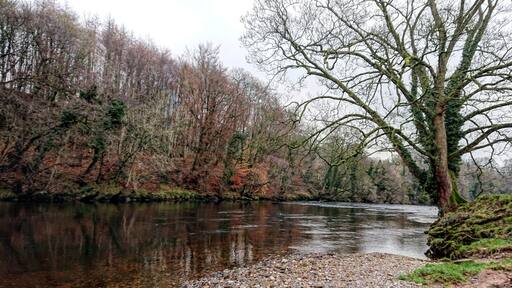 A nice riverside walk. #trovember