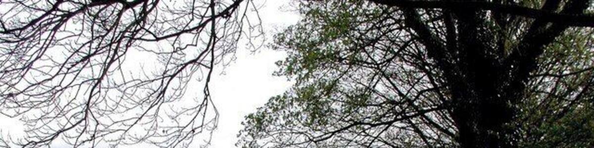 North of Addingham Pasture between the River Wharfe and Bolton Road near Farfield House, north of Addingham.