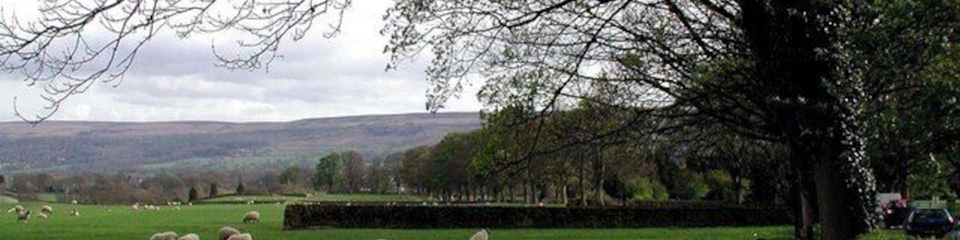 North of Addingham Pasture between the River Wharfe and Bolton Road near Farfield House, north of Addingham.