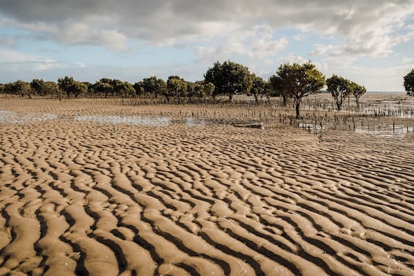 A really nice beach to walk at low tide and view the salt resilient mangroves. But when it comes in, being so flat, it comes in fast!
#grantville #beach#sand#mangroves #victoria #australia