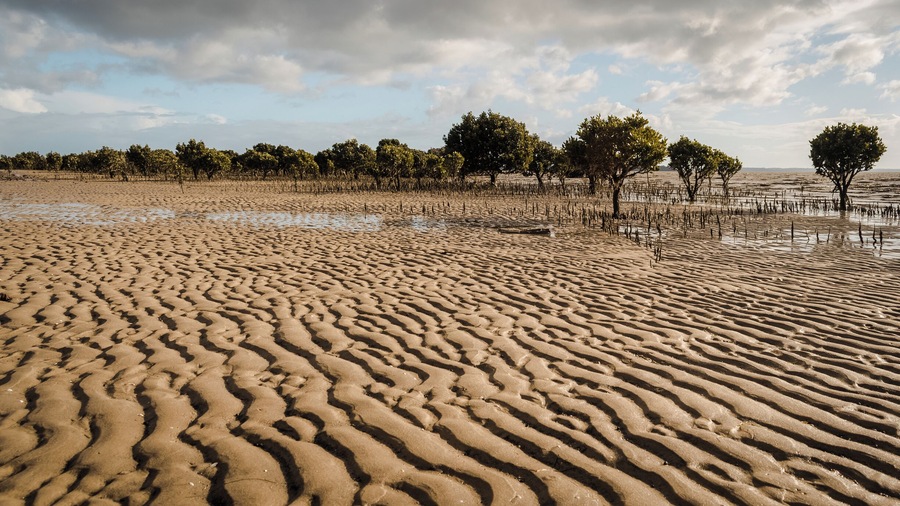 A really nice beach to walk at low tide and view the salt resilient mangroves. But when it comes in, being so flat, it comes in fast! 
#grantville #beach#sand#mangroves #victoria #australia