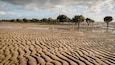 A really nice beach to walk at low tide and view the salt resilient mangroves. But when it comes in, being so flat, it comes in fast!
#grantville #beach#sand#mangroves #victoria #australia