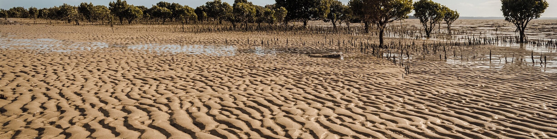 A really nice beach to walk at low tide and view the salt resilient mangroves. But when it comes in, being so flat, it comes in fast!
#grantville #beach#sand#mangroves #victoria #australia