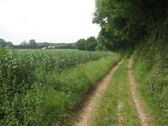 A narrow dirt path flanked by tall grass and trees, leading through a rural landscape.