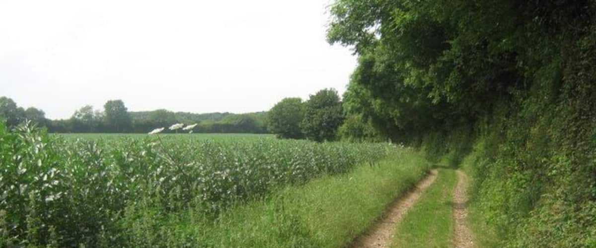 A narrow dirt path flanked by tall grass and trees, leading through a rural landscape.