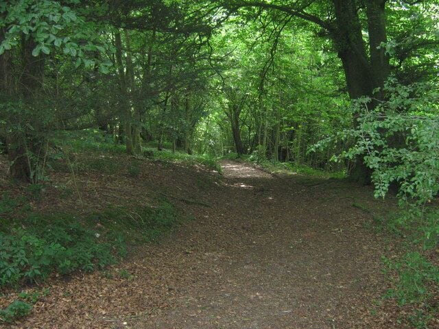 Track in Hurst Wood This is a track of the byway leading into the wood. It seems to follow the council boundary line.