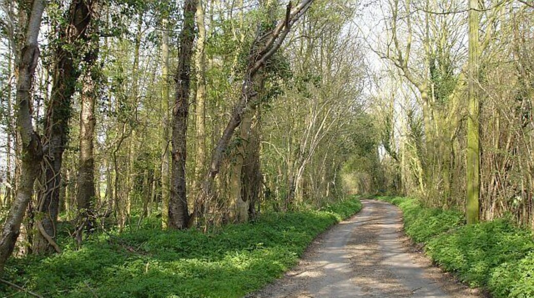 Lane to Hegdale Farm. The farmhouse may be seen here 402636