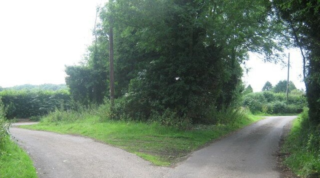 Road junction on Pested Lane Pested lane leads from Hegdale Farm to here. Pested Lane heads right to A251 Faversham Road. Pested Lane heads left to Brushdane Wood. Yes, all three roads are Pested Lane. Somebody ran out of road names !!!