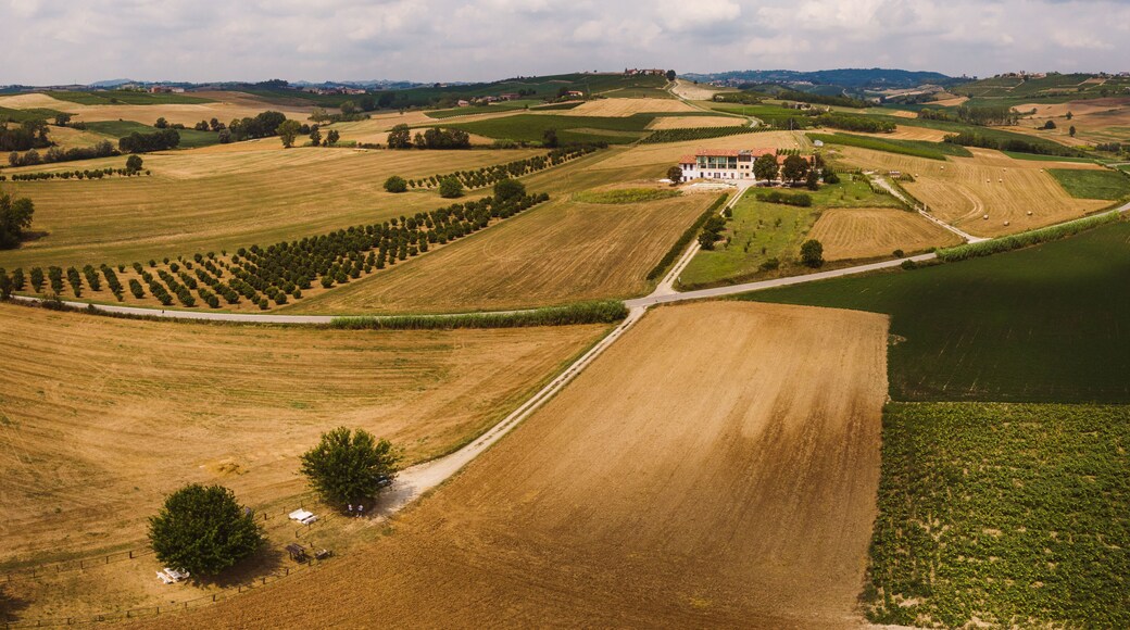 Altavilla Monferrato