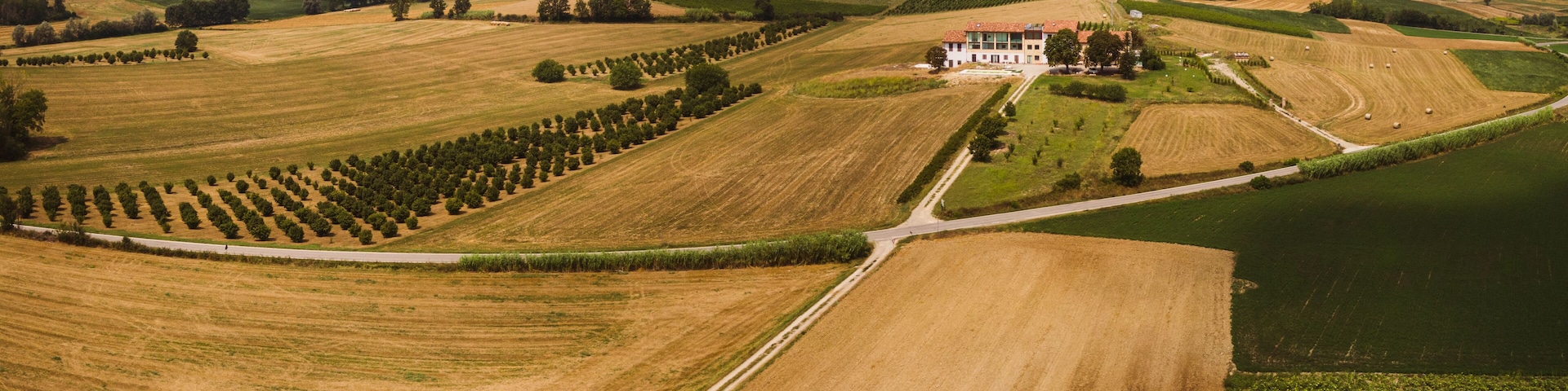 Drone aerial view of the "bialbero" in Casorso Monferrato