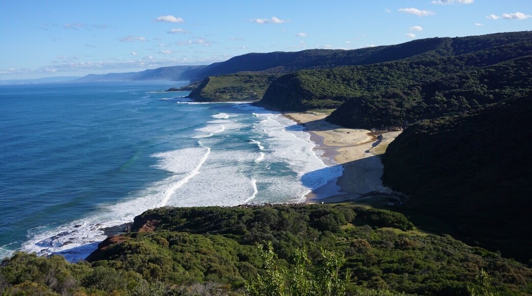 View from 1/2 way up, looking over Garie and many other #beaches in the #royalnationalpark .. Was a beautiful day for a hike. Read my last post for how we got here #hiking #blue #waterlust #australia