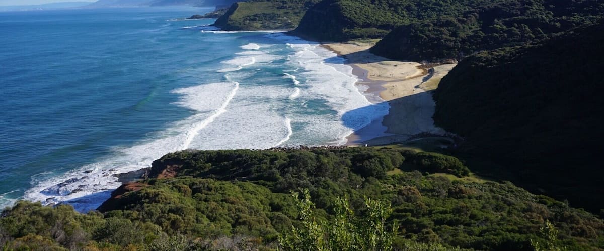 View from 1/2 way up, looking over Garie and many other #beaches in the #royalnationalpark .. Was a beautiful day for a hike. Read my last post for how we got here #hiking #blue #waterlust #australia