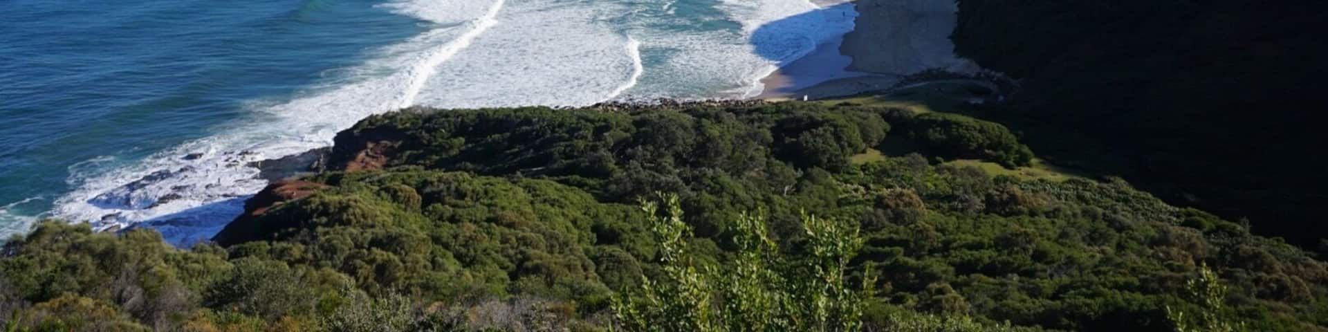 View from 1/2 way up, looking over Garie and many other #beaches in the #royalnationalpark .. Was a beautiful day for a hike. Read my last post for how we got here #hiking #blue #waterlust #australia