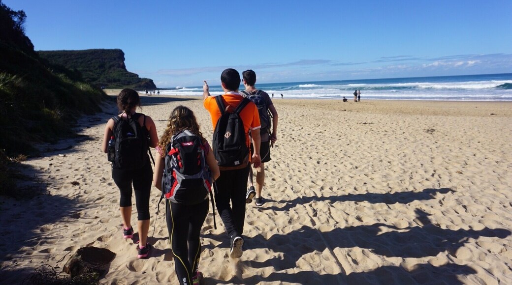 Yesterday was the perfect day for a hike in the Royal National Park, NSW. We parked at Garie Beach, walking a small section of the Coast Walk route and having lunch at the top of the cliff. Be careful going now though! The paths are still very muddy and wet from the storms so bring thick socks and sturdy shoes #australia #hiking #royalnationalpark #beach