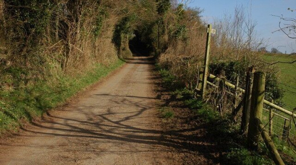 Footpath sign, near Llangrove This footpath sign indicates a path south to Lewstone.