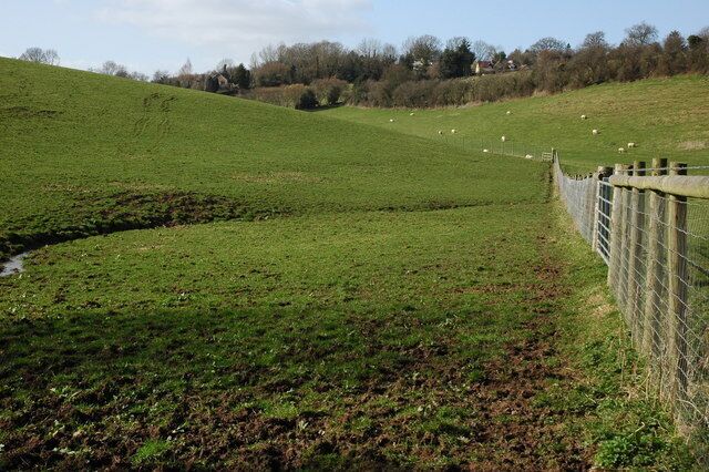 A green field with a fence and sheep.