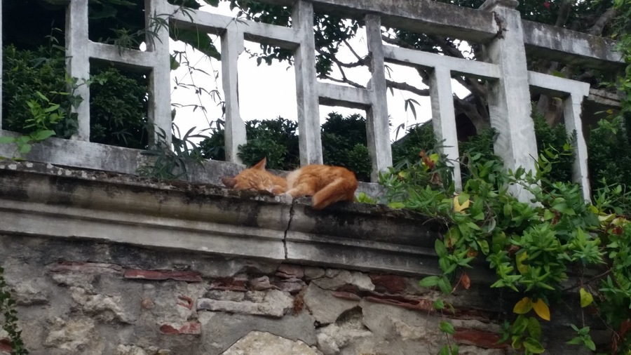 Saint Sever, France. Take the time between Noon and 2 pm to recharge for the rest of the day, because everything is closed anyways! #LifeAtExpedia