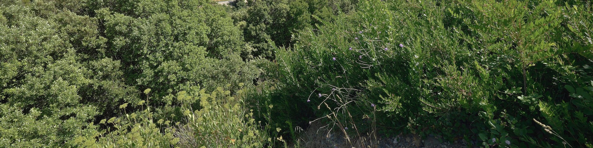 In the center, the RD177 (departemental road), the village of Vieussan and in the background the Massif du Caroux. Vieussan, Hérault, France. Haut-Languedoc Regional Natural Park.