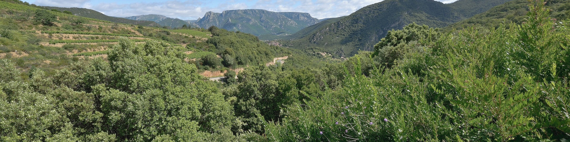 In the center, the RD177 (departemental road), the village of Vieussan and in the background the Massif du Caroux. Vieussan, Hérault, France. Haut-Languedoc Regional Natural Park.