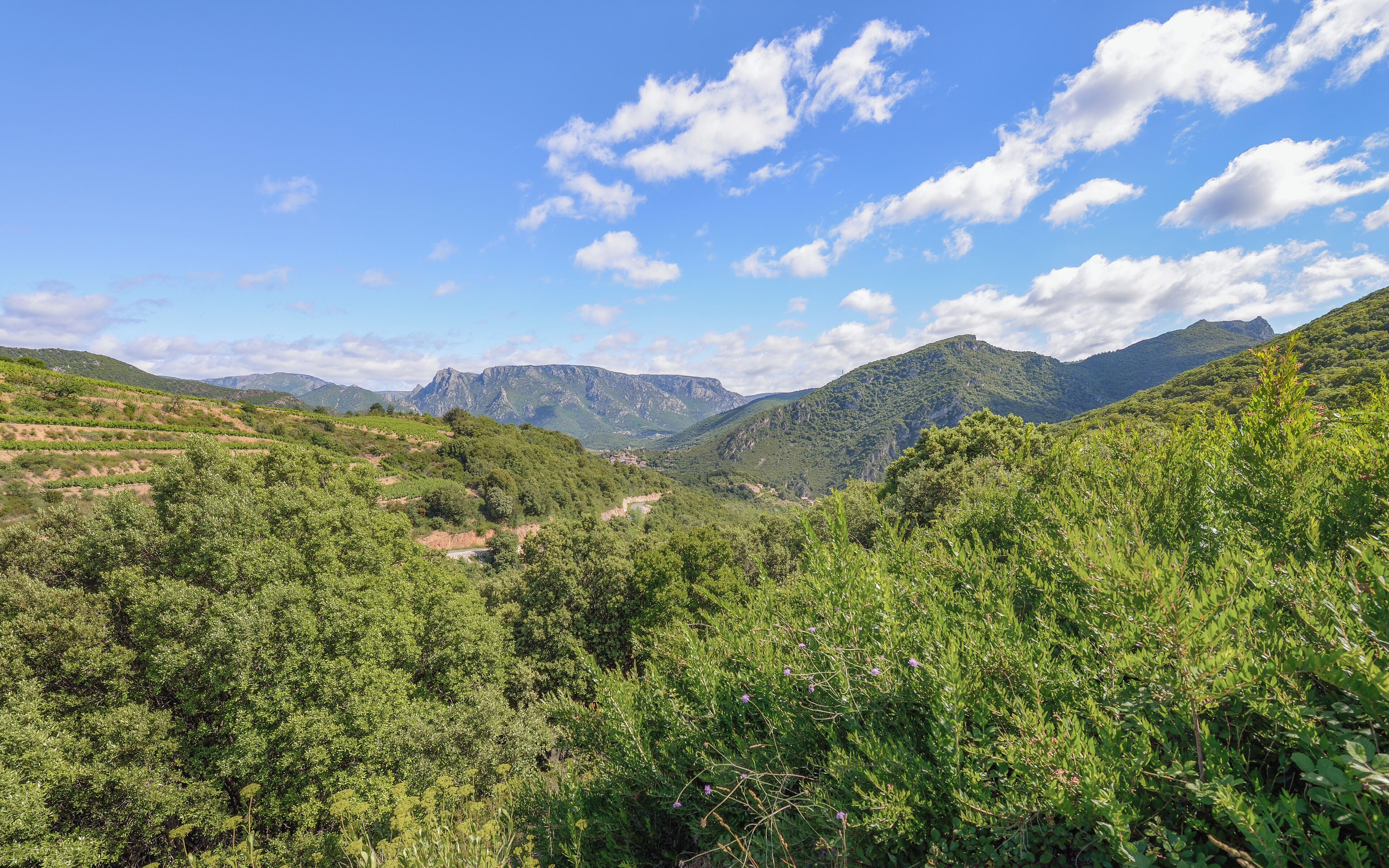 In the center, the RD 177 (Departemental Road), the village of Vieussan and in the background the Massif du Caroux. Vieussan, Hérault, France. Haut-Languedoc Regional Natural Park.