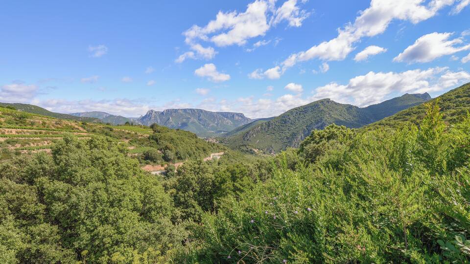 A lush valley with terraced fields and mountains in the background.