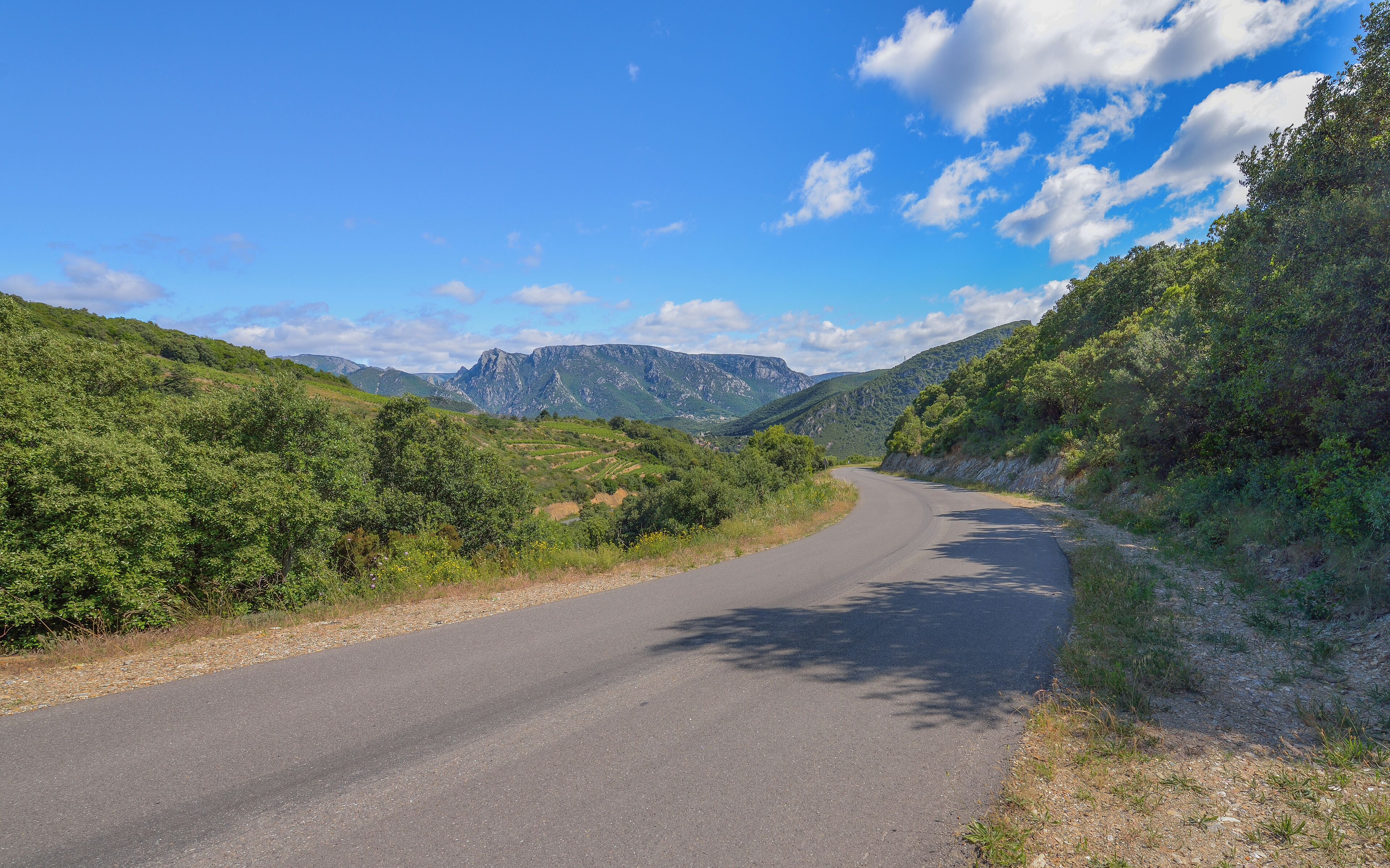 The RD 177 (Departmental Road) and in the background the Massif du Caroux. Vieussan, Hérault, France. Haut-Languedoc Regional Natural Park.