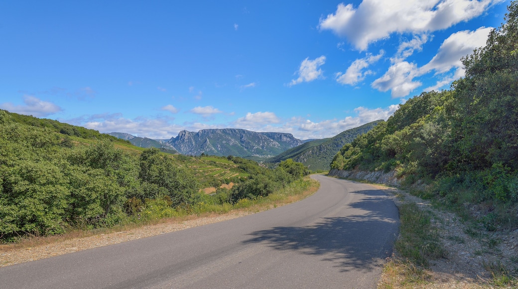 The RD 177 (Departmental Road) and in the background the Massif du Caroux. Vieussan, Hérault, France. Haut-Languedoc Regional Natural Park.