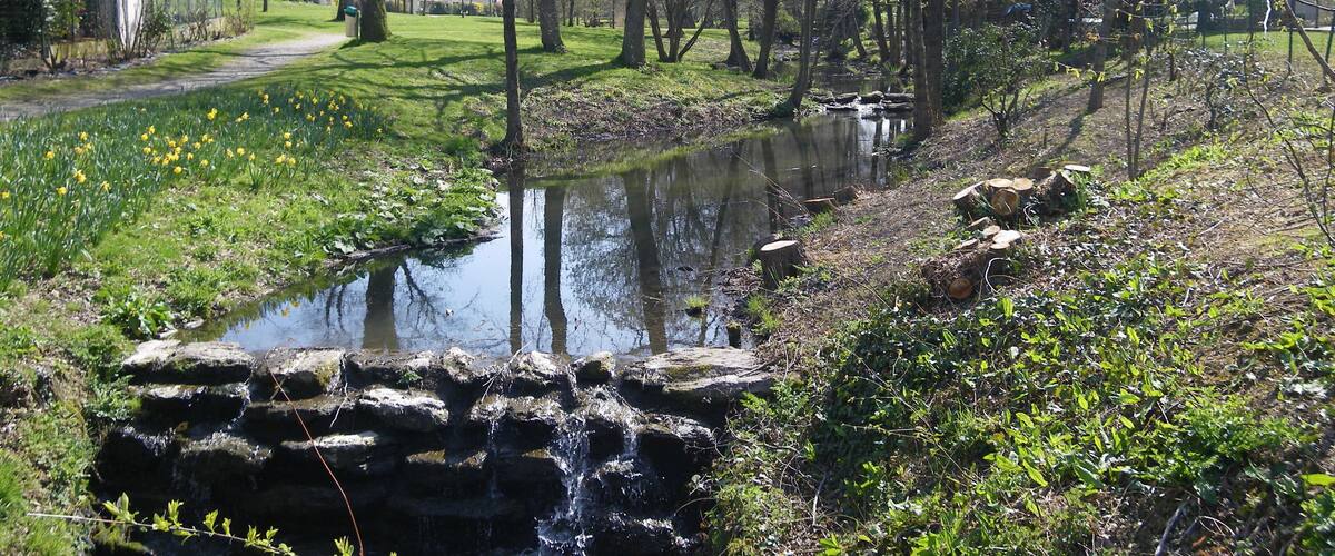 A calm river with a small waterfall, surrounded by trees and a grassy area.