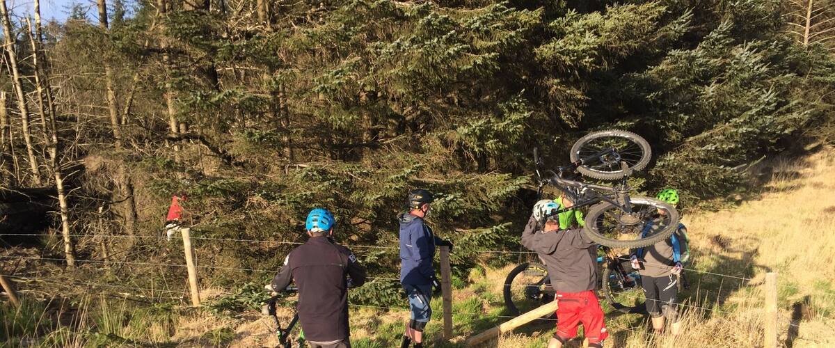 A group of mountain bikers on a trail surrounded by trees and grass.