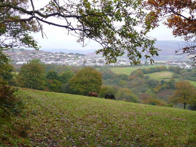 Pasture land near Maesteg The housing of Y Parc can be seen in the distance beyond the wooded valley of Nant Cwmcerwyn.