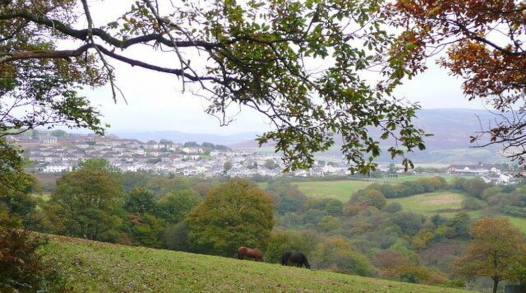 Pasture land near Maesteg The housing of Y Parc can be seen in the distance beyond the wooded valley of Nant Cwmcerwyn.